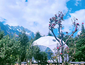 酒店帳篷和傳統建筑的優勢是什么？